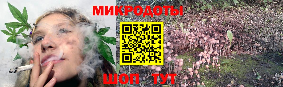 Псилоцибиновые грибы мухоморы  Вход с VPN  Псилоцибиновые грибы Psilocybe  Заводоуковск 